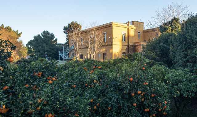 Bari, in via Ulpiani si staglia un edificio neoclassico circondato da un agrumeto:  la sede del 